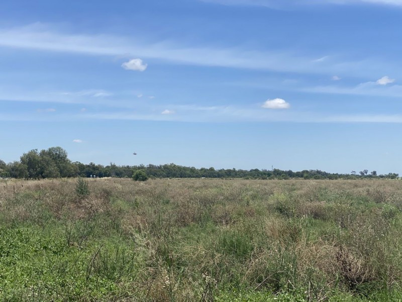 Lot 9 Warialda Street, Pallamallawa NSW 2399