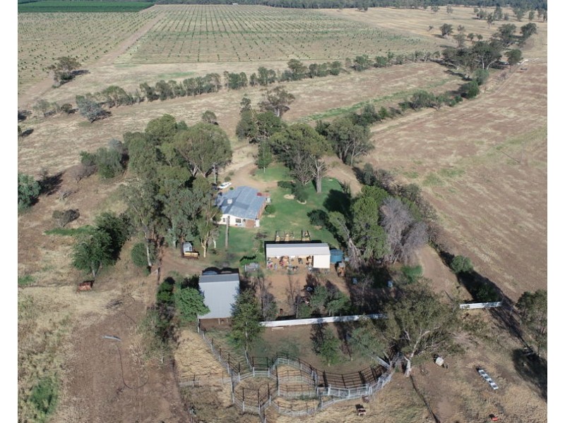 1131 River Road, Pallamallawa NSW 2399