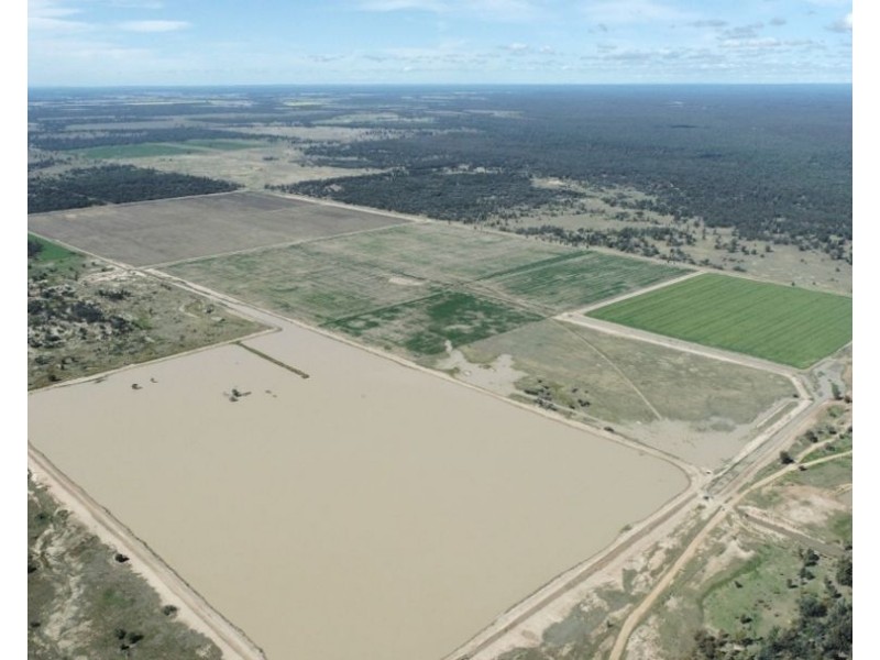 Tharlane, Wee Waa NSW 2388