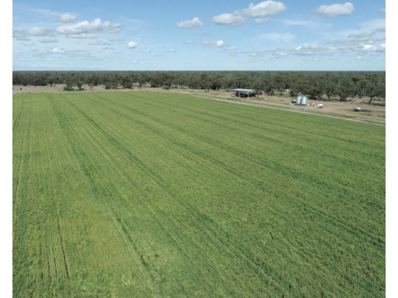Tharlane, Wee Waa NSW 2388