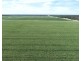 Tharlane, Wee Waa NSW 2388