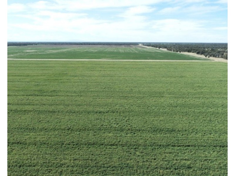 Tharlane, Wee Waa NSW 2388