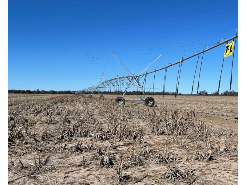 Tharlane, Wee Waa NSW 2388