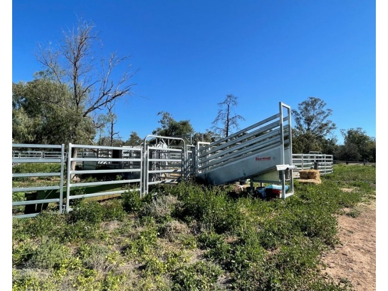 Tharlane, Wee Waa NSW 2388