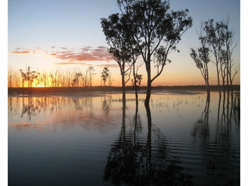 Lower Namoi River Water, Merah North NSW 2388