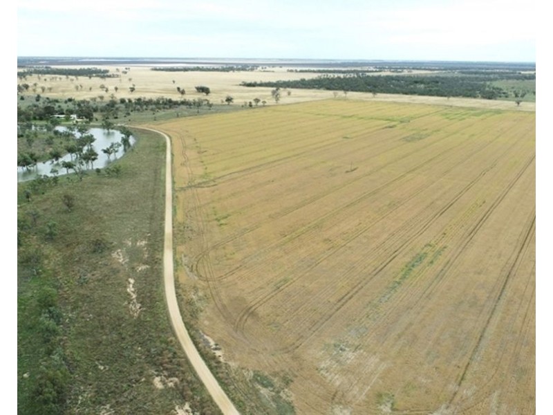 Challicum, Moree NSW 2400