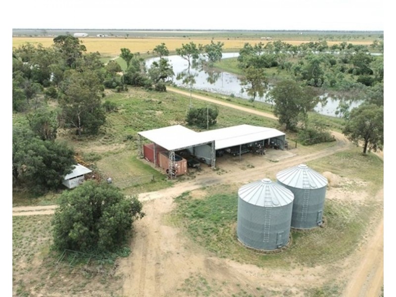 Challicum, Moree NSW 2400
