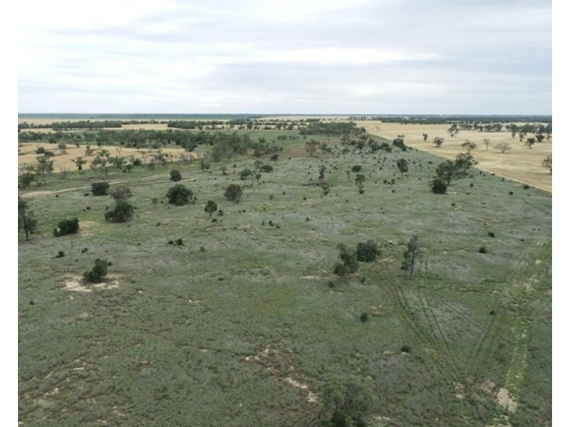 Challicum, Moree NSW 2400