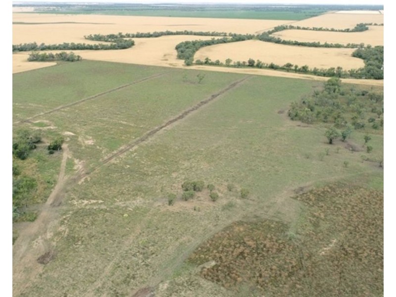 Challicum, Moree NSW 2400