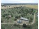 Challicum, Moree NSW 2400