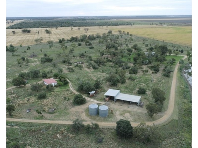 Challicum, Moree NSW 2400