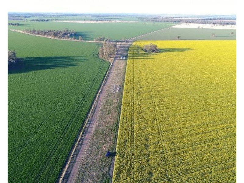 2871 Terry Hie Hie Road, Moree NSW 2400