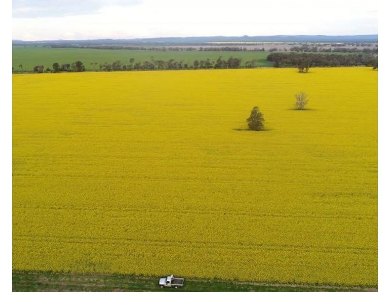 2871 Terry Hie Hie Road, Moree NSW 2400