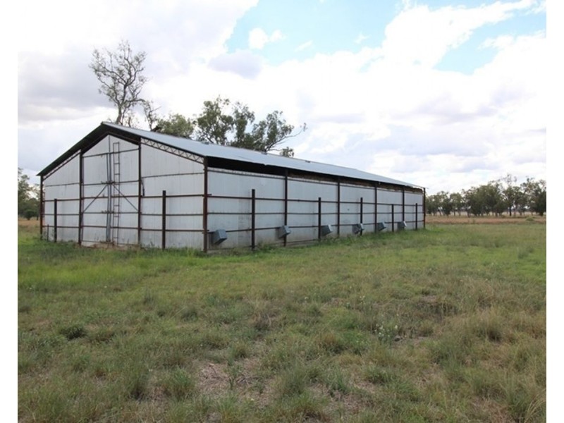2871 Terry Hie Hie Road, Moree NSW 2400