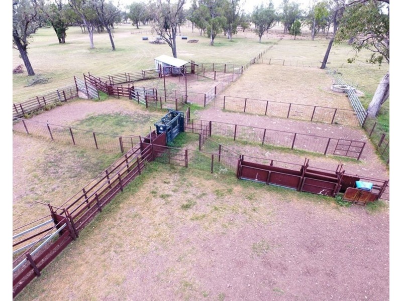 2871 Terry Hie Hie Road, Moree NSW 2400