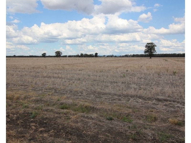 2871 Terry Hie Hie Road, Moree NSW 2400