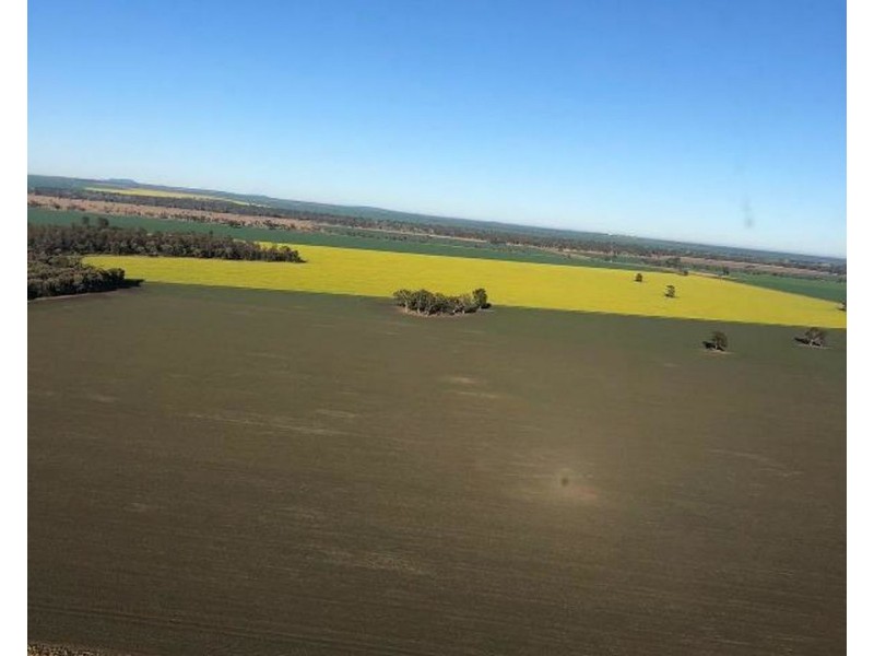 2871 Terry Hie Hie Road, Moree NSW 2400