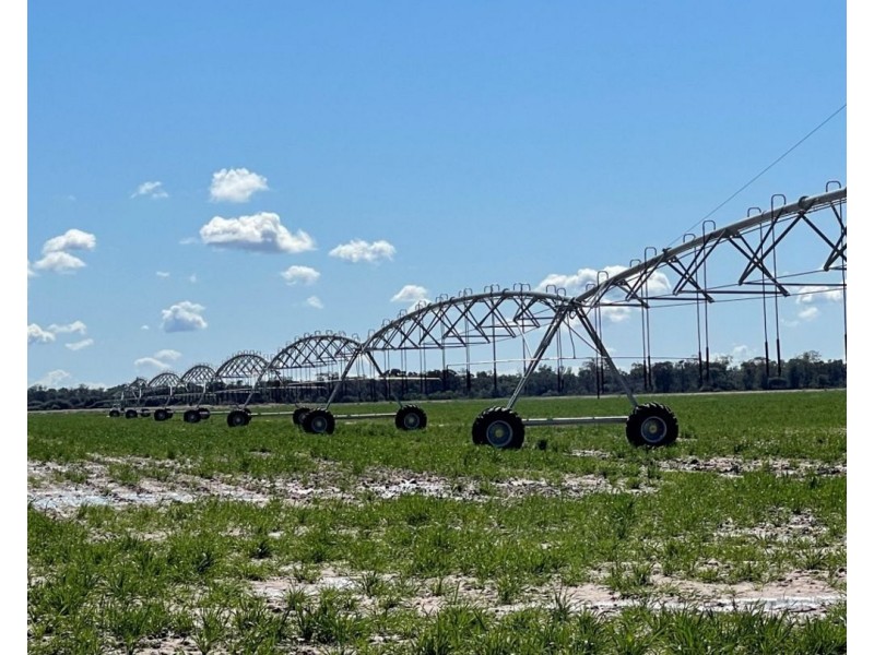 84 Tharlane Road, Wee Waa NSW 2388