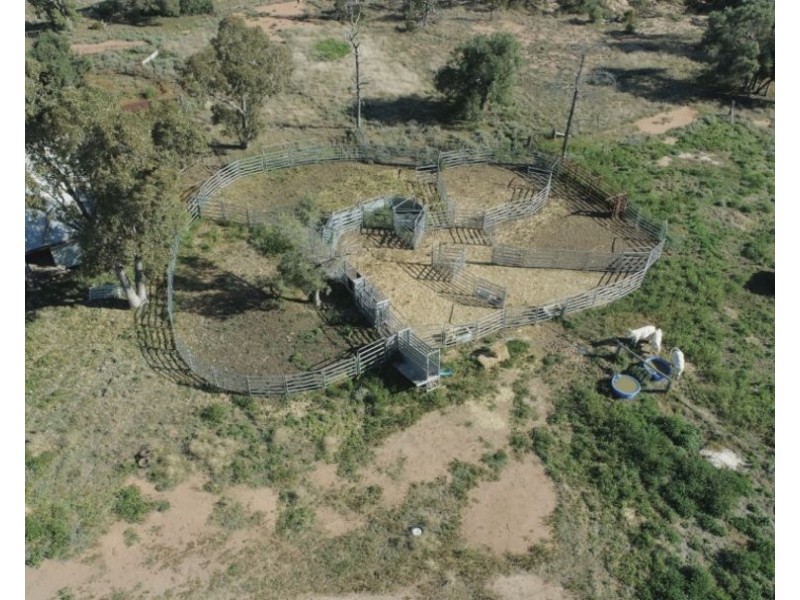 84 Tharlane Road, Wee Waa NSW 2388