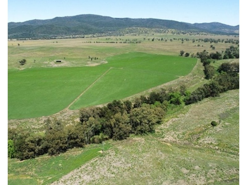 North Myoora, Manilla NSW 2346