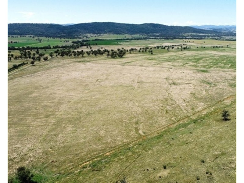 North Myoora, Manilla NSW 2346