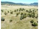 North Myoora, Manilla NSW 2346