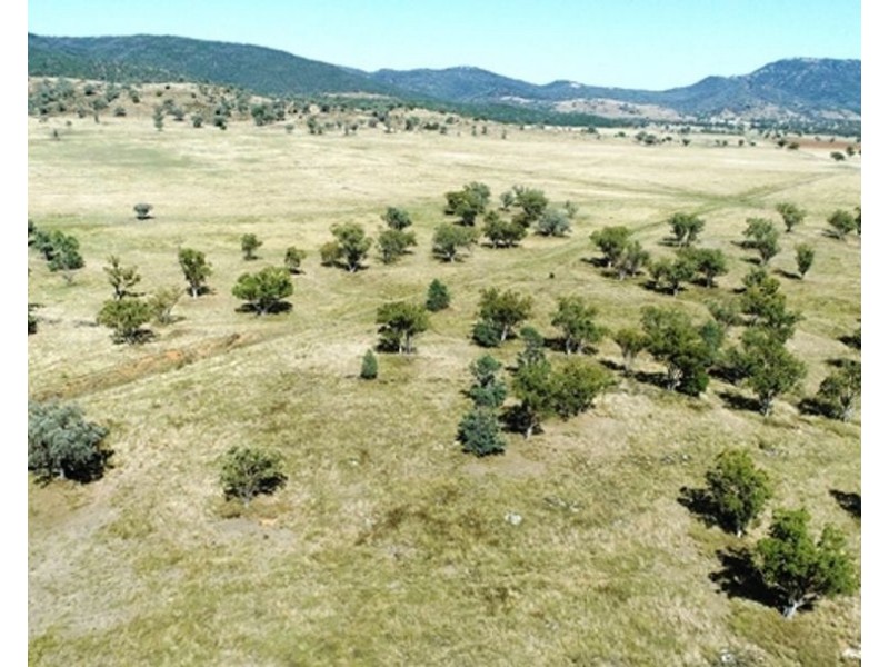 North Myoora, Manilla NSW 2346