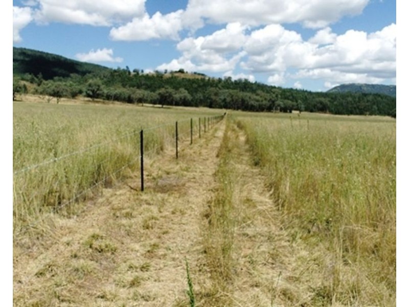 North Myoora, Manilla NSW 2346