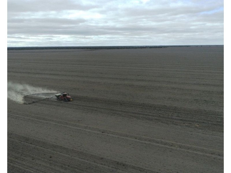 Elimatta, Walgett NSW 2832