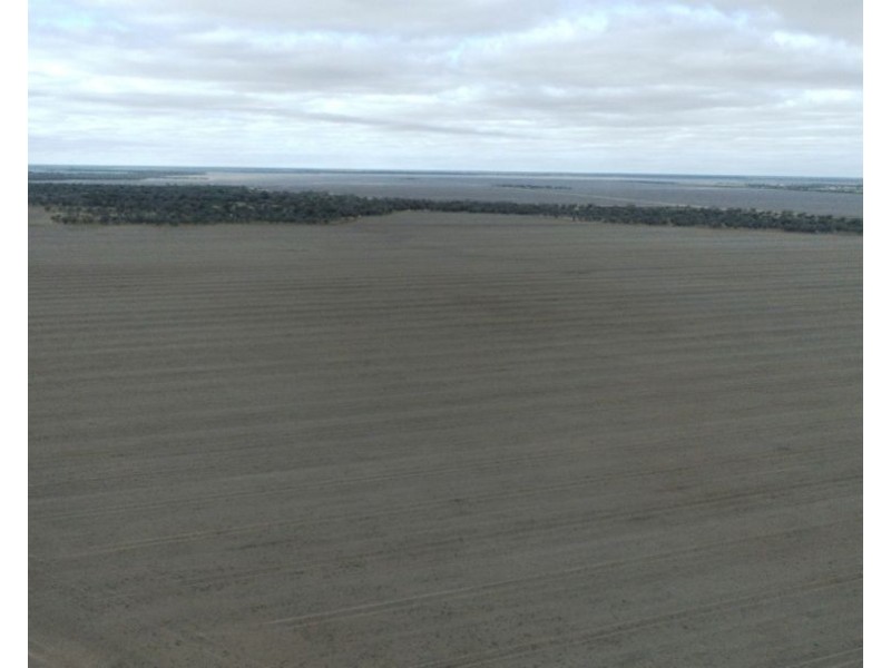 Elimatta, Walgett NSW 2832