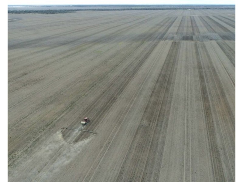 Elimatta, Walgett NSW 2832