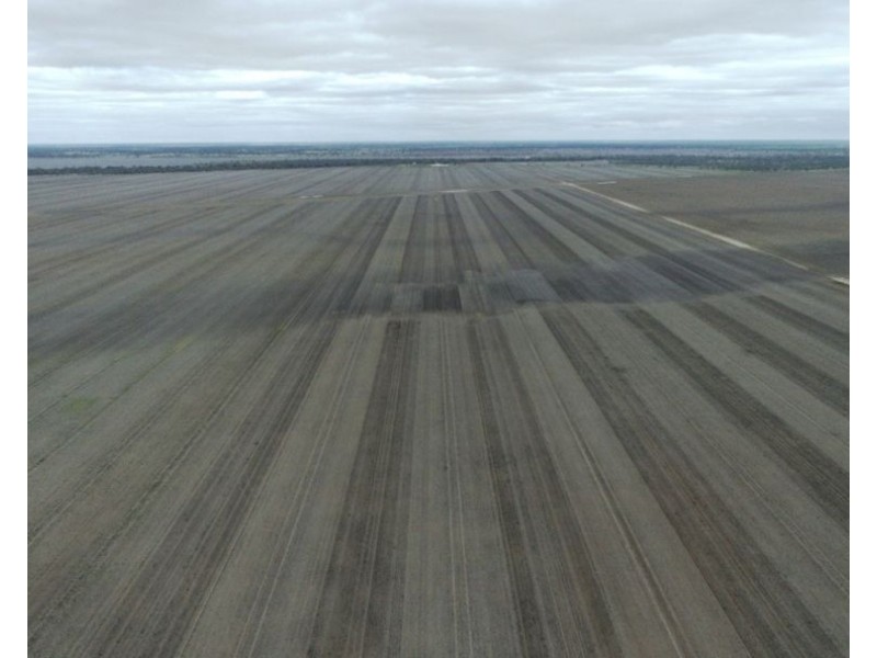 Elimatta, Walgett NSW 2832