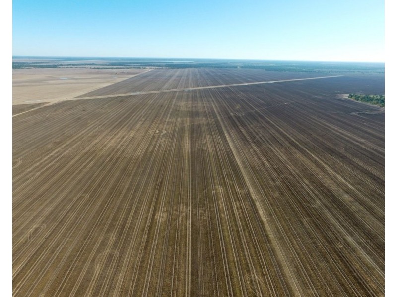 Elimatta, Walgett NSW 2832