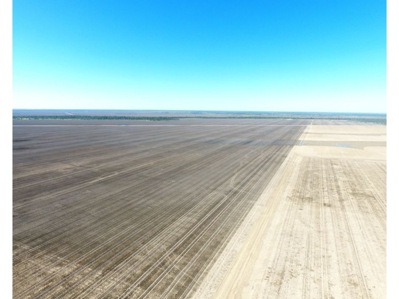 Elimatta, Walgett NSW 2832