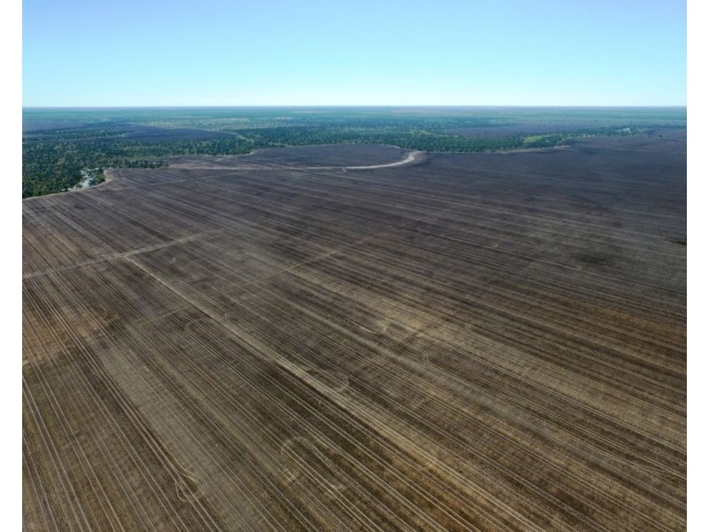 Elimatta, Walgett NSW 2832