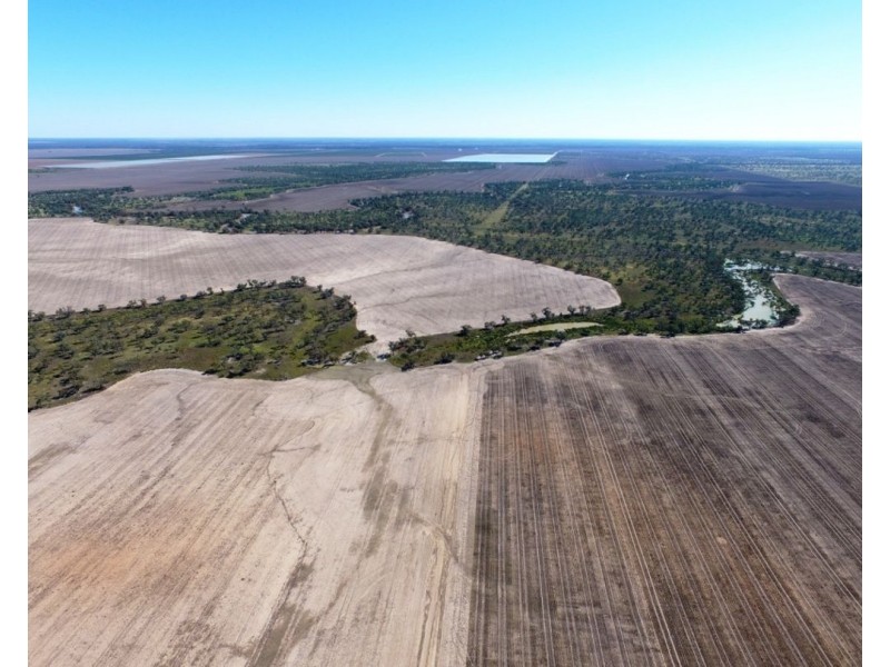 Elimatta, Walgett NSW 2832