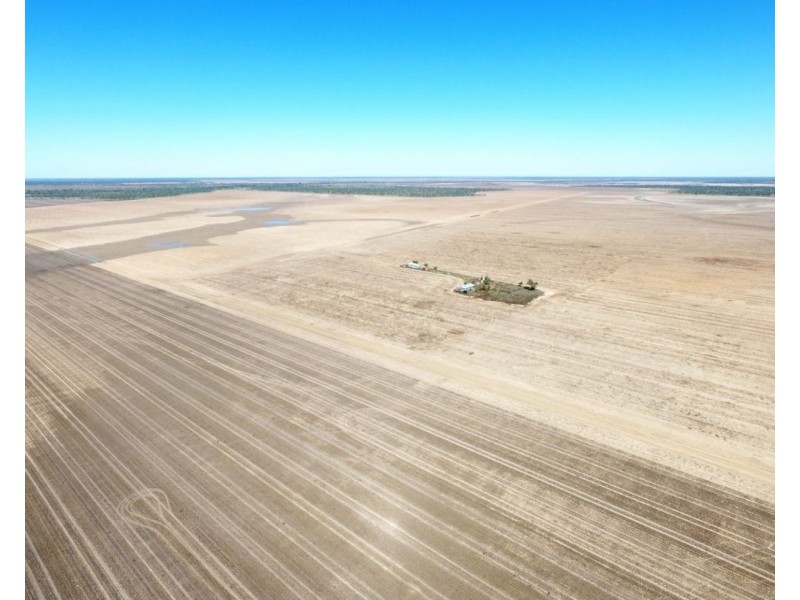 Elimatta, Walgett NSW 2832