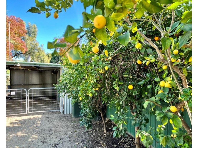 19 Edward Street, Moree NSW 2400