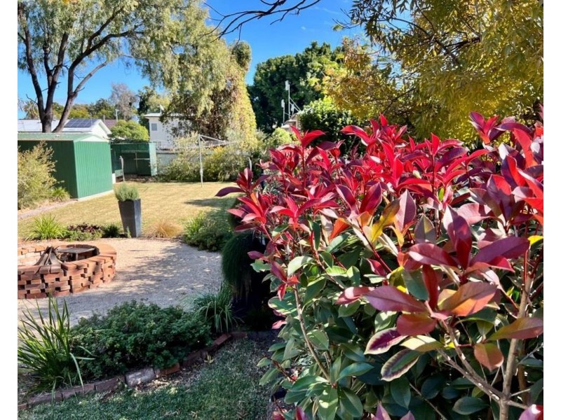 19 Edward Street, Moree NSW 2400