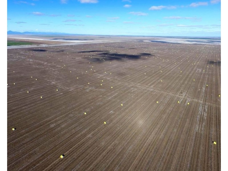 Milton Downs East, Bellata NSW 2397