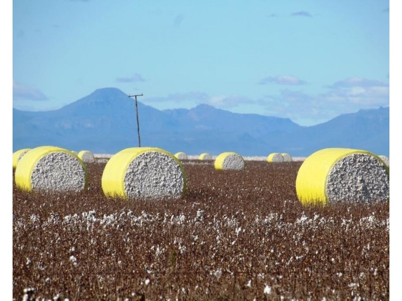 Milton Downs East, Bellata NSW 2397