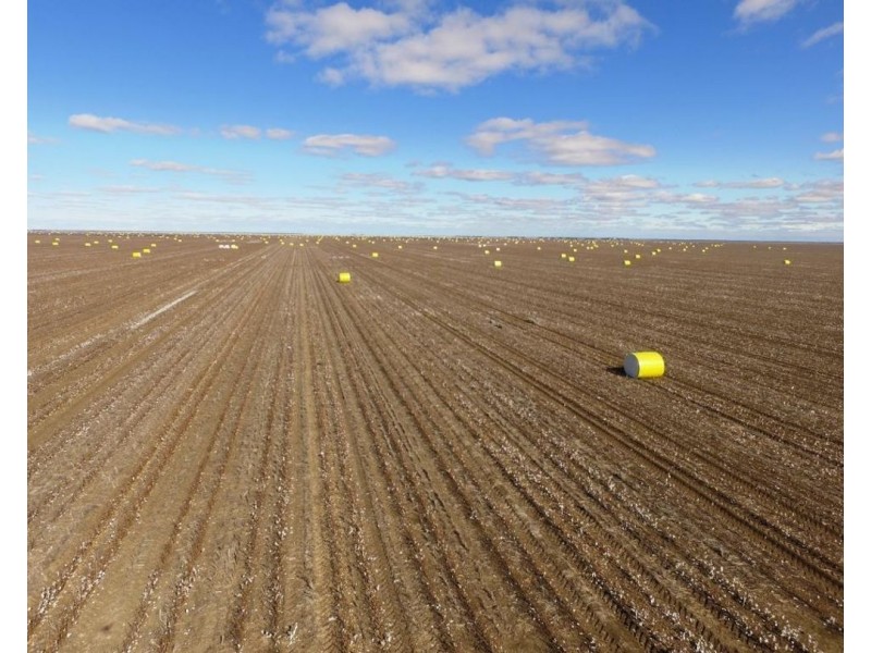 Milton Downs East, Bellata NSW 2397