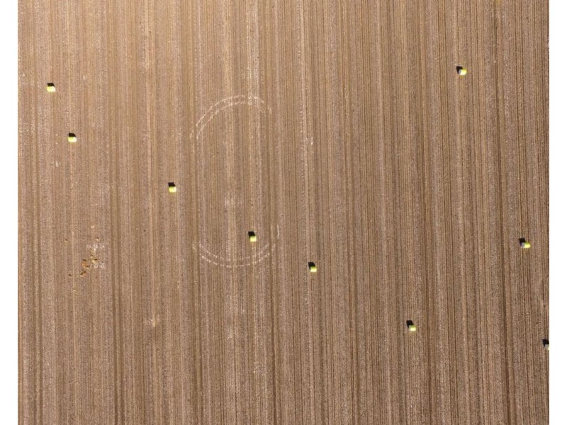 Milton Downs East, Bellata NSW 2397