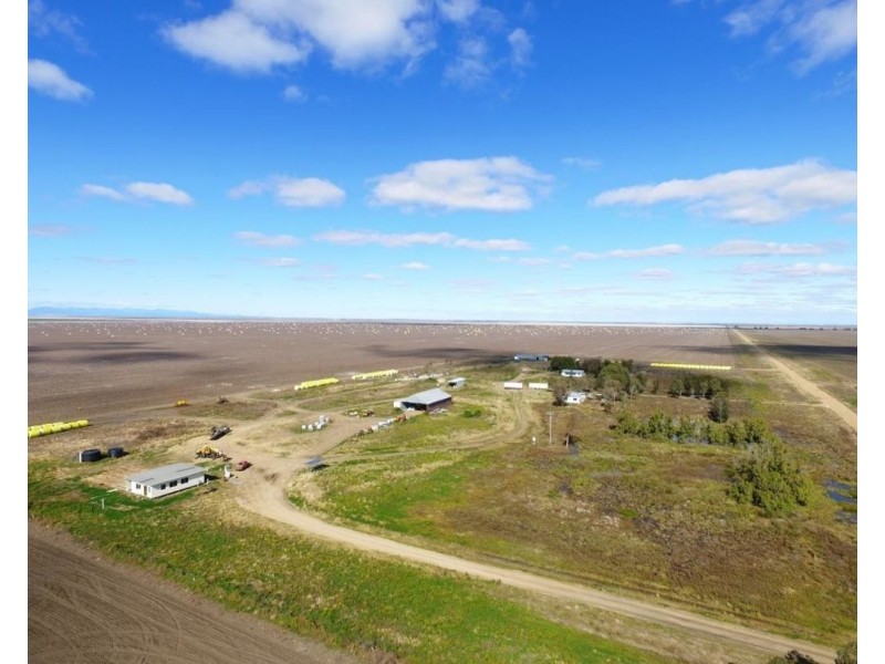 Milton Downs East, Bellata NSW 2397