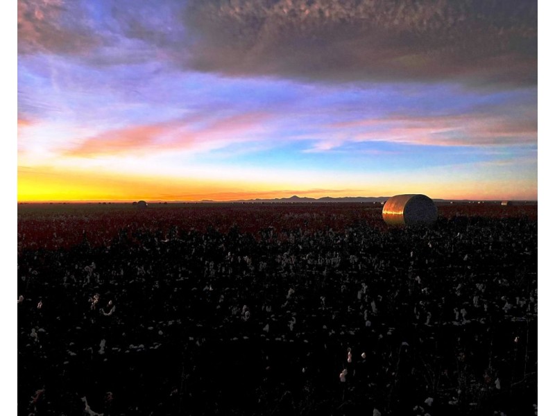 Milton Downs East, Bellata NSW 2397