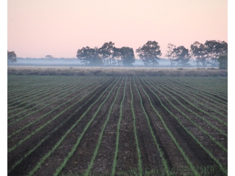 1075 MIDDLE ROUTE ROAD “FOREST LODGE”, Merah North NSW 2388