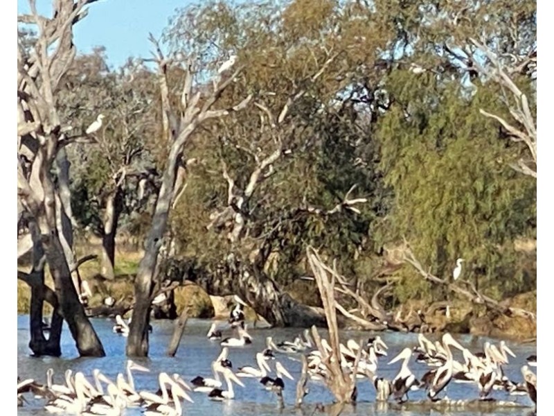 1075 MIDDLE ROUTE ROAD “FOREST LODGE”, Merah North NSW 2388