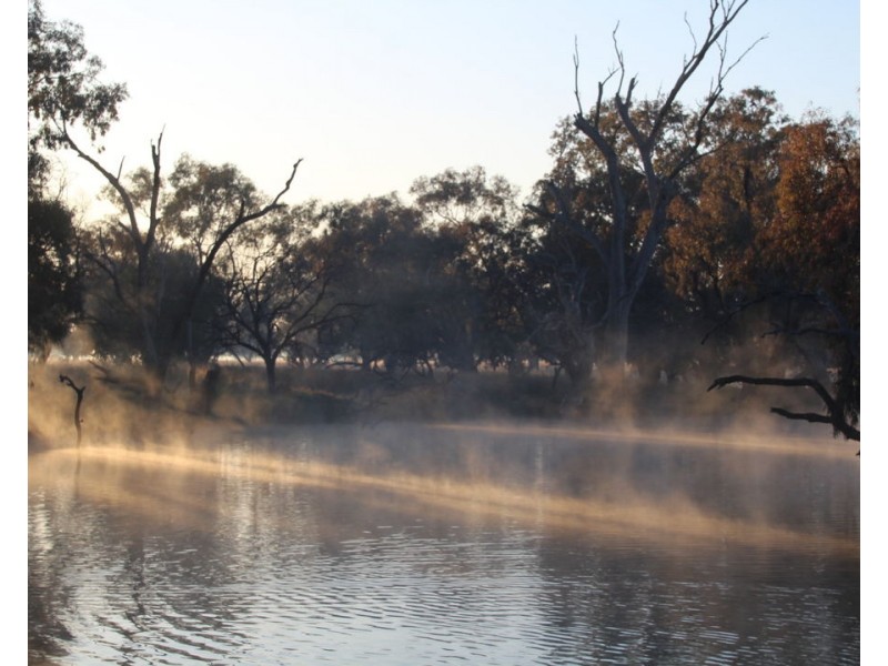 1075 MIDDLE ROUTE ROAD “FOREST LODGE”, Merah North NSW 2388