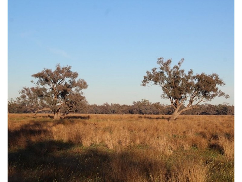 1075 MIDDLE ROUTE ROAD “FOREST LODGE”, Merah North NSW 2388
