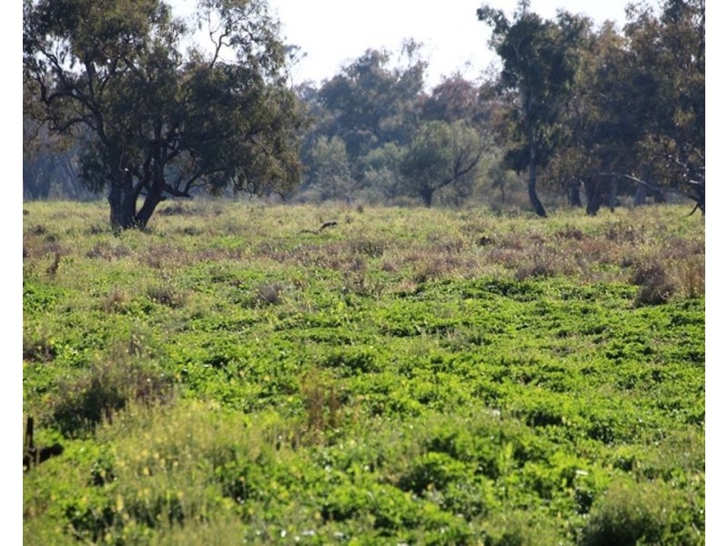 1075 MIDDLE ROUTE ROAD “FOREST LODGE”, Merah North NSW 2388